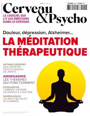 Livre : La méditation thérapeutique